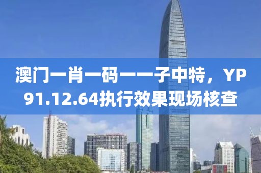 澳門一肖一碼一一子中特,YP91.12.64執行效果現場核查