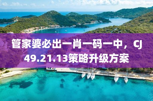 管家婆必出一肖一碼一中,CJ49.21.13策略升級(jí)方案