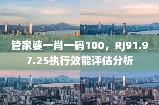 管家婆一肖一碼100，RJ91.97.25執行效能評估分析