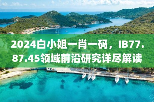 2024白小姐一肖一碼，IB77.87.45領域前沿研究詳盡解讀