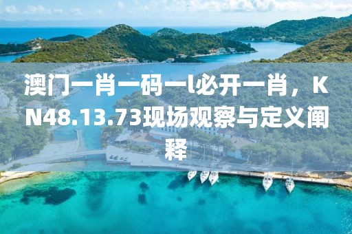 澳門一肖一碼一l必開(kāi)一肖，KN48.13.73現(xiàn)場(chǎng)觀察與定義闡釋