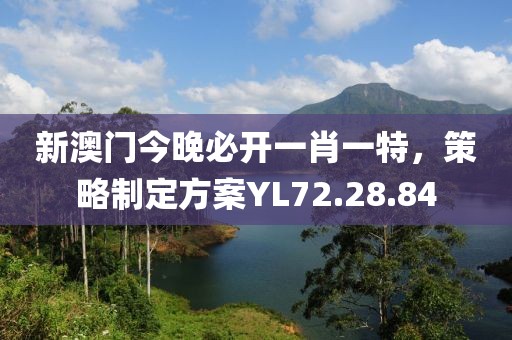 新澳門今晚必開一肖一特,策略制定方案YL72.28.84