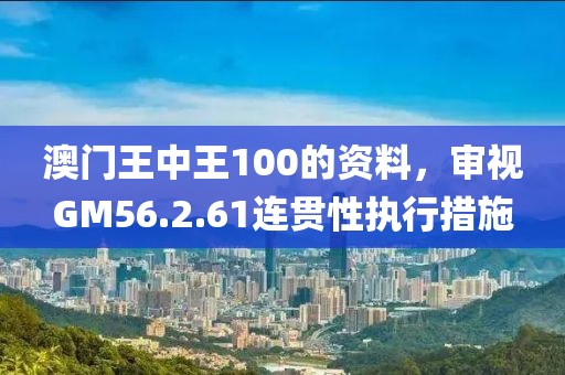 澳門王中王100的資料，審視GM56.2.61連貫性執行措施