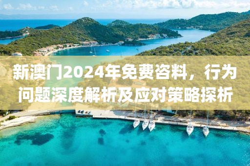 新澳門2024年免費咨料，行為問題深度解析及應對策略探析