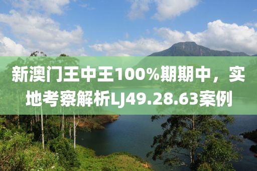 新澳門王中王100%期期中，實地考察解析LJ49.28.63案例