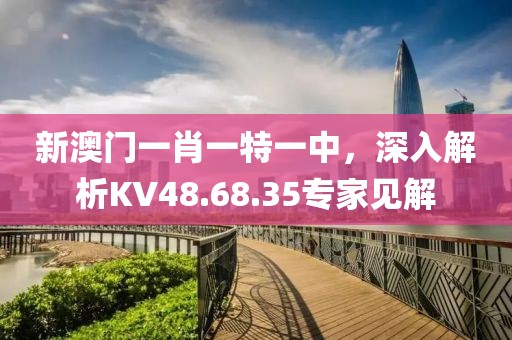 新澳門一肖一特一中，深入解析KV48.68.35專家見解