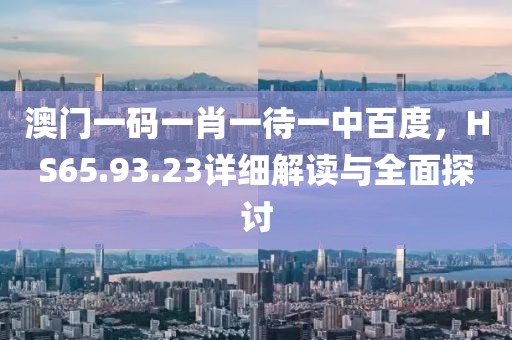 澳門一碼一肖一待一中百度,HS65.93.23詳細解讀與全面探討