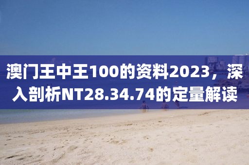 澳門王中王100的資料2023，深入剖析NT28.34.74的定量解讀