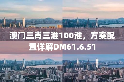 澳門(mén)三肖三淮100淮，方案配置詳解DM61.6.51
