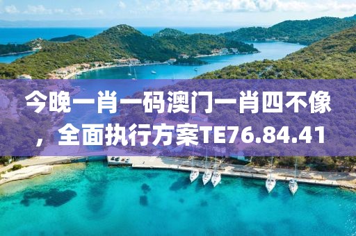 今晚一肖一碼澳門一肖四不像，全面執(zhí)行方案TE76.84.41
