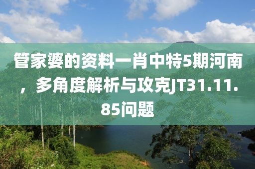 管家婆的資料一肖中特5期河南，多角度解析與攻克JT31.11.85問題