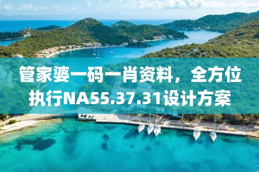 管家婆一碼一肖資料,全方位執行NA55.37.31設計方案