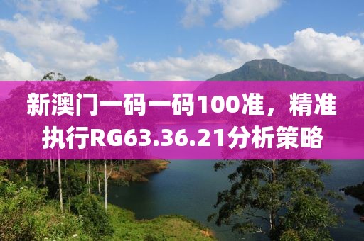 新澳門一碼一碼100準，精準執行RG63.36.21分析策略