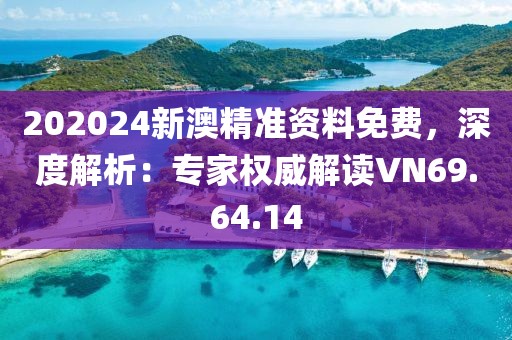 202024新澳精準資料免費，深度解析：專家權威解讀VN69.64.14