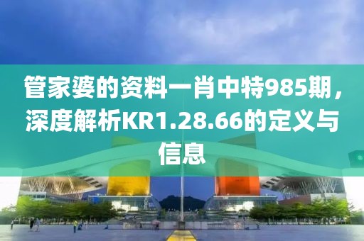 管家婆的資料一肖中特985期，深度解析KR1.28.66的定義與信息