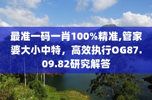 最準一碼一肖100%精準,管家婆大小中特，高效執行OG87.09.82研究解答