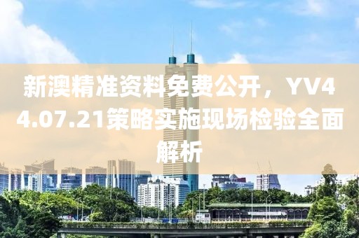 新澳精準資料免費公開，YV44.07.21策略實施現場檢驗全面解析