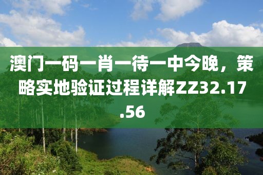 澳門一碼一肖一待一中今晚,策略實地驗證過程詳解ZZ32.17.56