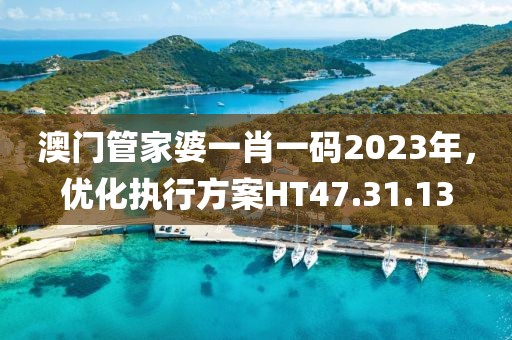 澳門管家婆一肖一碼2023年,優化執行方案HT47.31.13