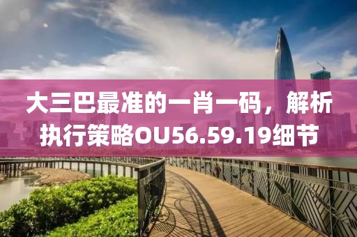 大三巴最準的一肖一碼，解析執行策略OU56.59.19細節