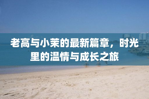 老高與小茉的最新篇章，時光里的溫情與成長之旅