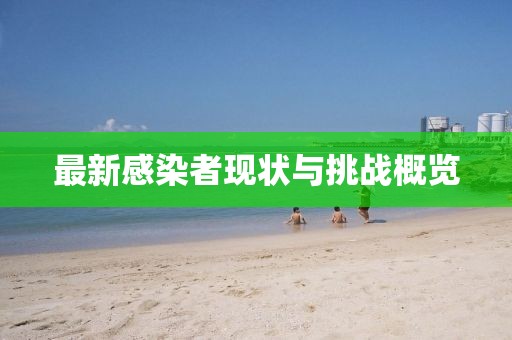 最新感染者現狀與挑戰概覽