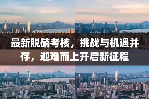 最新脫硝考核，挑戰(zhàn)與機遇并存，迎難而上開啟新征程