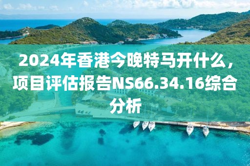 2024年香港今晚特馬開什么，項目評估報告NS66.34.16綜合分析