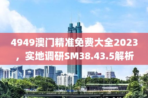 4949澳門精準免費大全2023，實地調研SM38.43.5解析