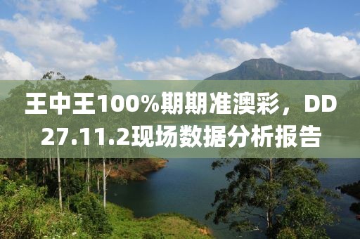 王中王100%期期準(zhǔn)澳彩，DD27.11.2現(xiàn)場數(shù)據(jù)分析報告