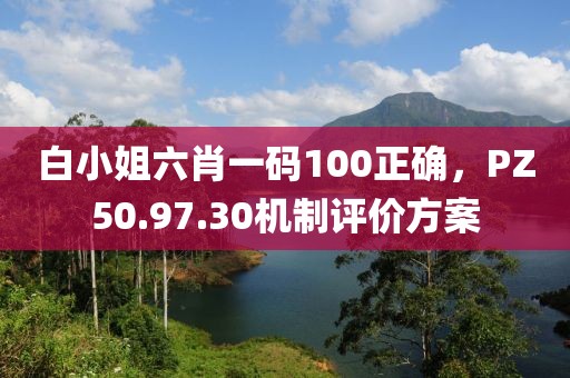 白小姐六肖一碼100正確，PZ50.97.30機制評價方案
