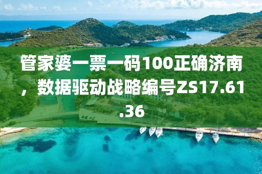 管家婆一票一碼100正確濟南，數據驅動戰略編號ZS17.61.36