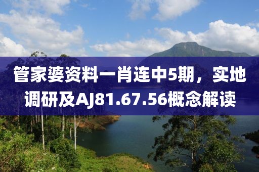 管家婆資料一肖連中5期，實(shí)地調(diào)研及AJ81.67.56概念解讀