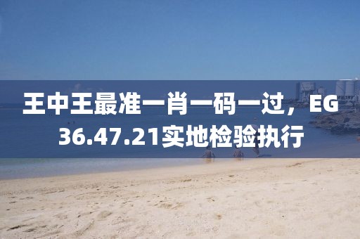 王中王最準(zhǔn)一肖一碼一過，EG36.47.21實地檢驗執(zhí)行