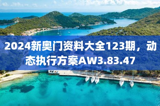 2024新奧門資料大全123期,動態執行方案AW3.83.47