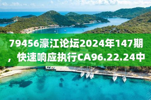 79456濠江論壇2024年147期，快速響應執行CA96.22.24中