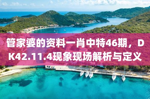 管家婆的資料一肖中特46期,DK42.11.4現象現場解析與定義