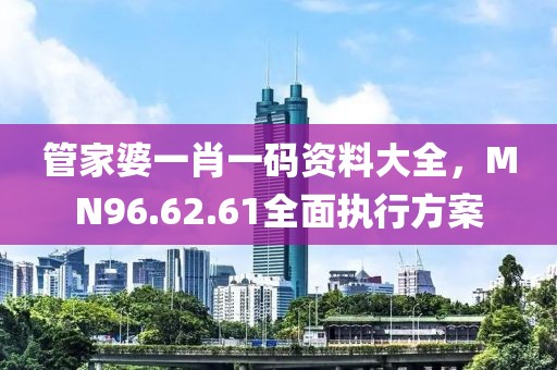 管家婆一肖一碼資料大全，MN96.62.61全面執(zhí)行方案