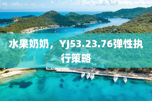 水果奶奶,YJ53.23.76彈性執行策略