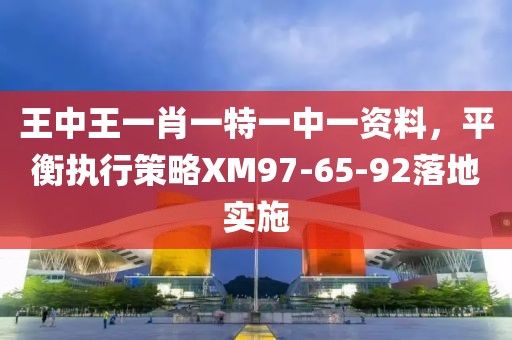 王中王一肖一特一中一資料，平衡執(zhí)行策略XM97-65-92落地實(shí)施