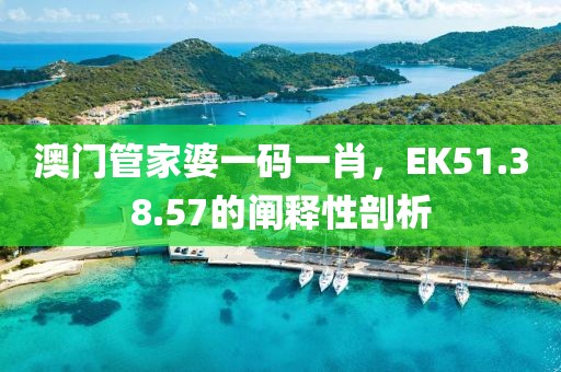 澳門管家婆一碼一肖，EK51.38.57的闡釋性剖析