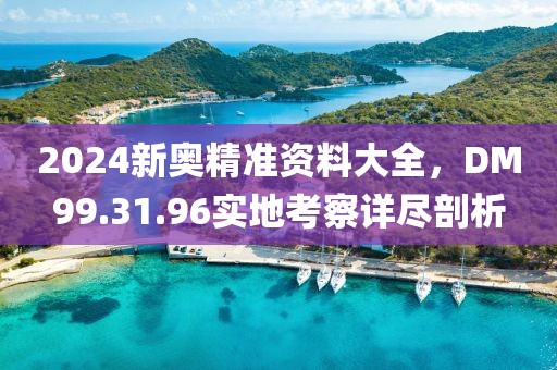 2024新奧精準資料大全，DM99.31.96實地考察詳盡剖析