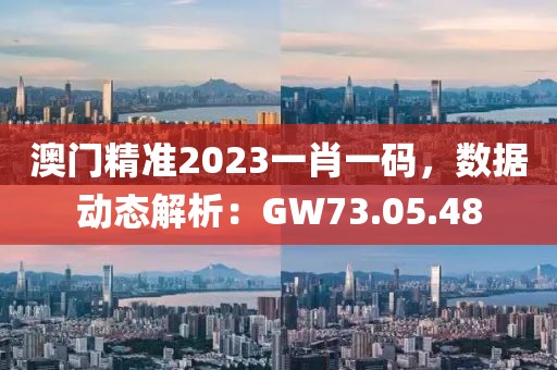 澳門精準2023一肖一碼，數據動態解析：GW73.05.48