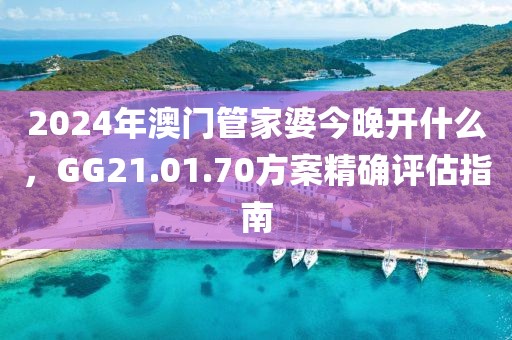 2024年澳門管家婆今晚開什么，GG21.01.70方案精確評估指南