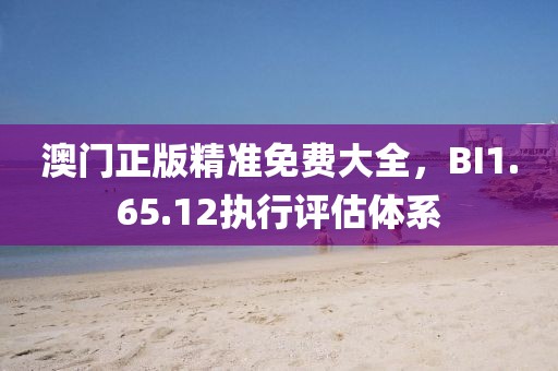 澳門正版精準免費大全,BI1.65.12執行評估體系