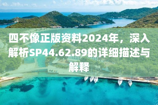 四不像正版資料2024年,深入解析SP44.62.89的詳細(xì)描述與解釋