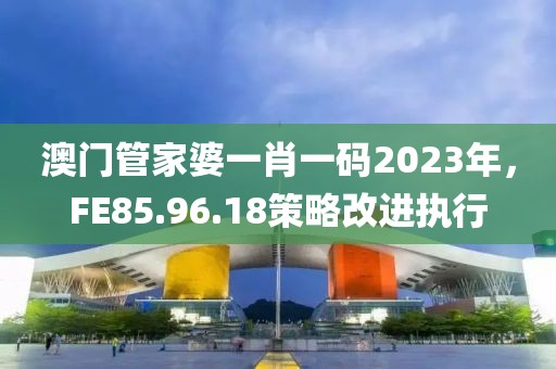 澳門管家婆一肖一碼2023年，FE85.96.18策略改進執行