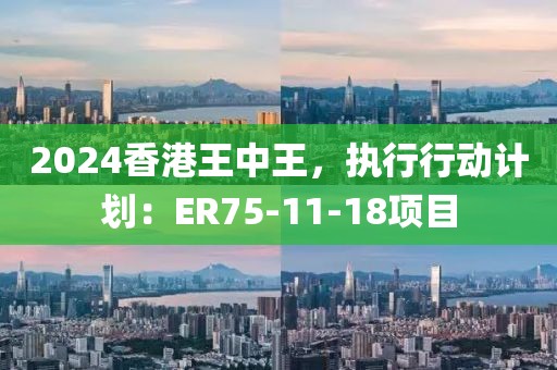 2024香港王中王,執行行動計劃:ER75-11-18項目