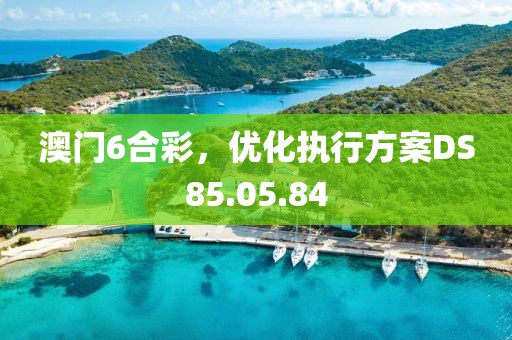 澳門6合彩，優(yōu)化執(zhí)行方案DS85.05.84