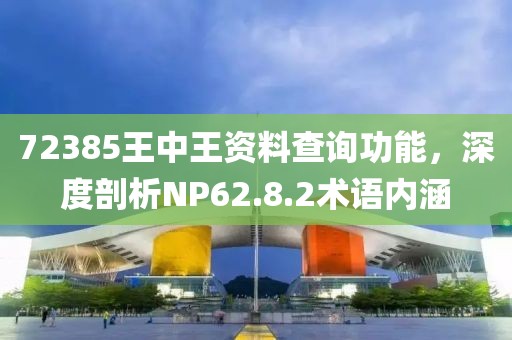 72385王中王資料查詢功能，深度剖析NP62.8.2術語內涵